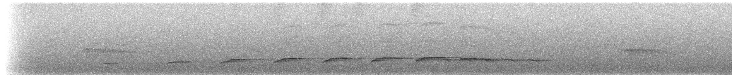 Gray-hooded Attila - ML236590