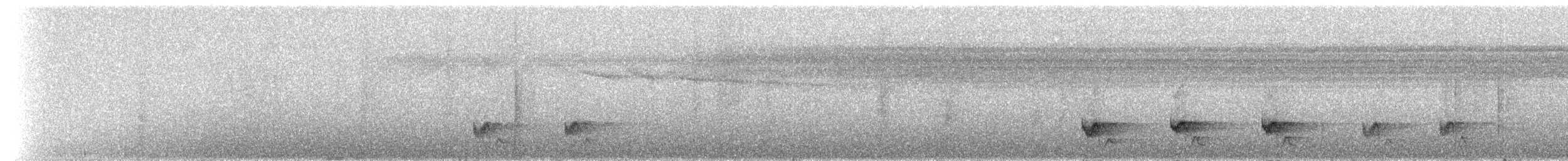 Swallow-tailed Manakin - ML236592