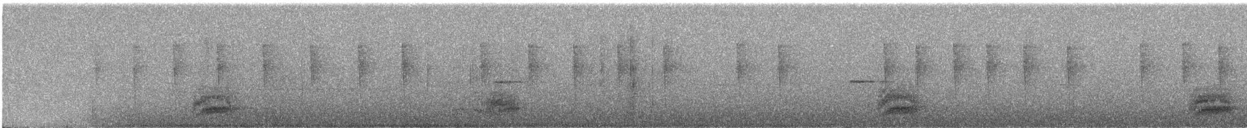 Spot-breasted Antvireo - ML236596