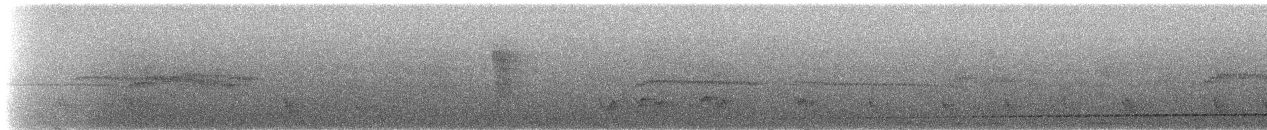 Rufous-tailed Antthrush - ML236597