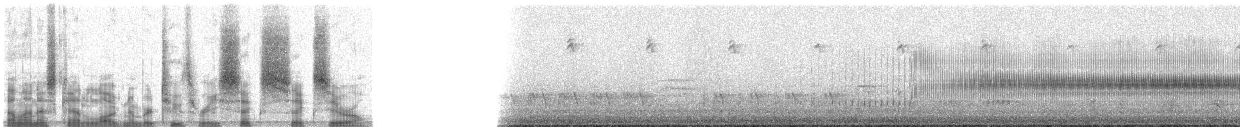 Savi's Warbler - ML23660