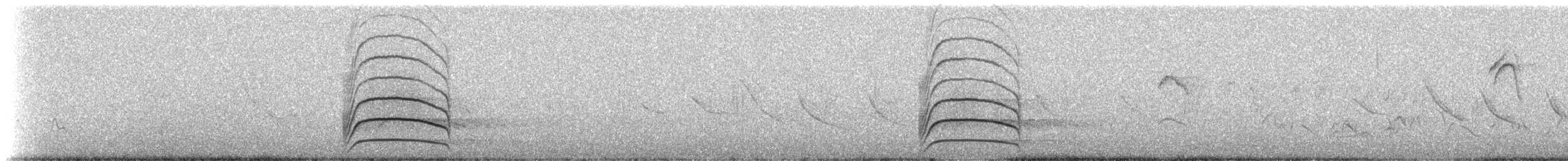 Great Kiskadee - ML236601