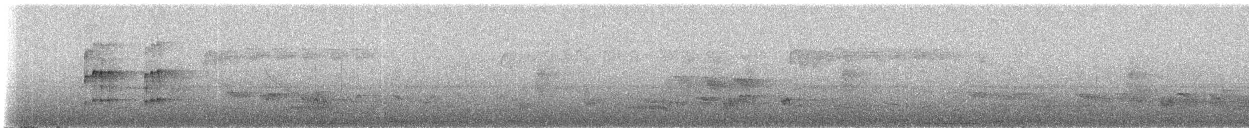 Бурогрудый тоди-тиранн - ML236602