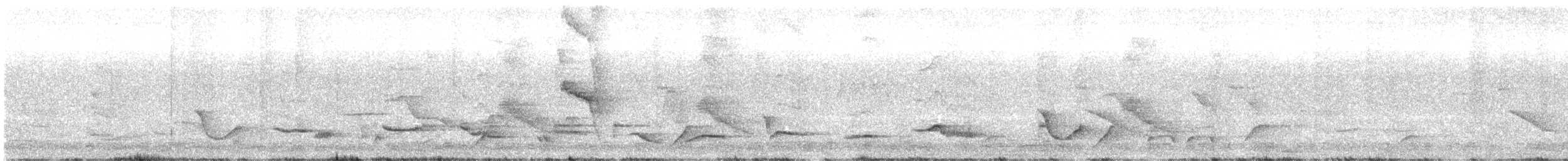 drozd hnědý - ML236603511