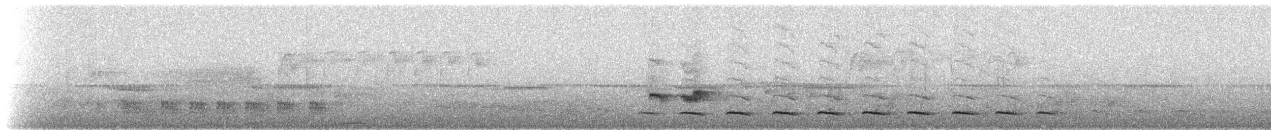 White-bearded Antshrike - ML236605