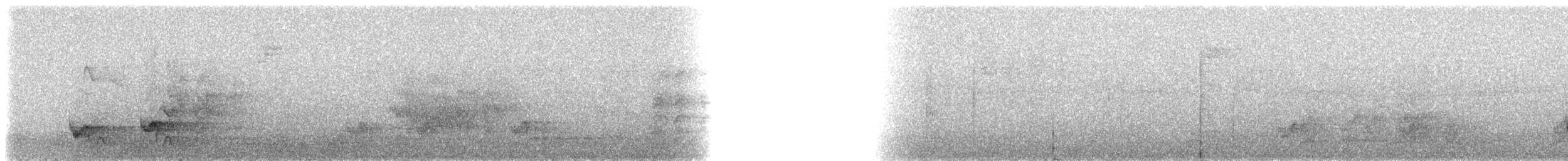 Swallow-tailed Manakin - ML236607