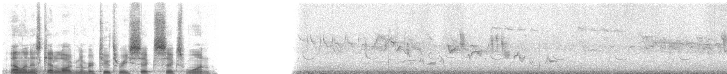 Willow Warbler - ML23661