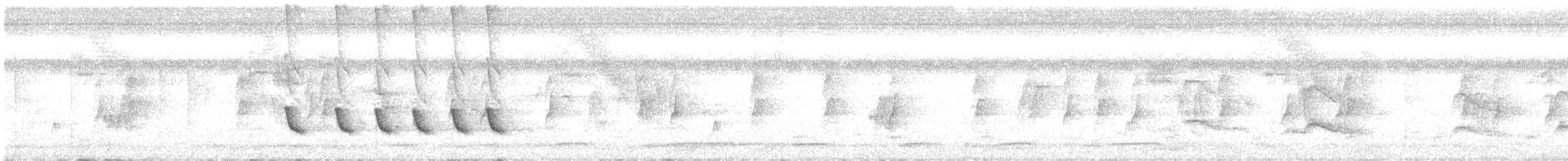 White-winged Becard - ML236610611