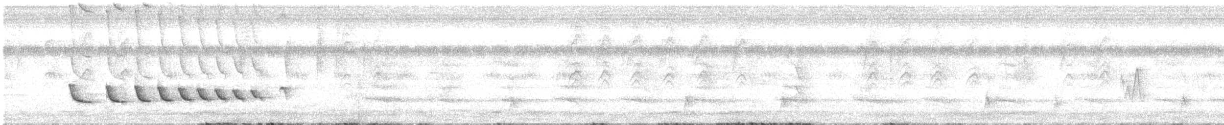 White-winged Becard - ML236610651