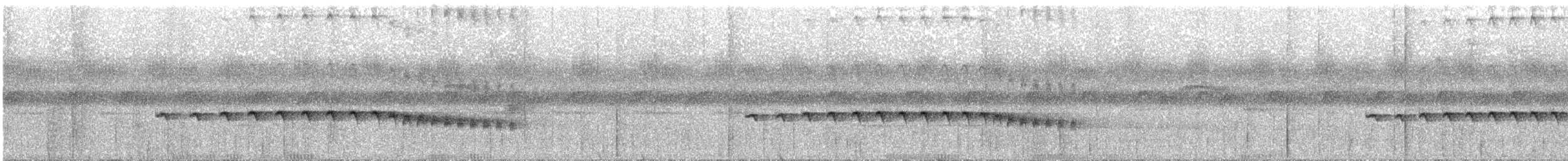 Grauwangen-Ameisenvogel - ML236612351