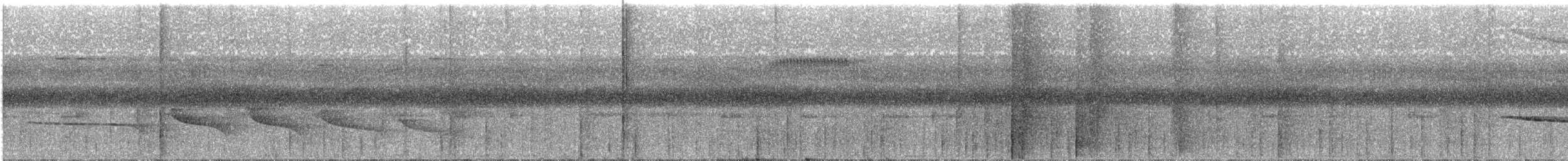Ak Göğüslü Karıncakuşu - ML236612491