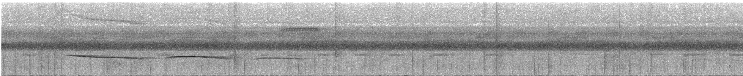 Weißstirn-Ameisenvogel - ML236613741