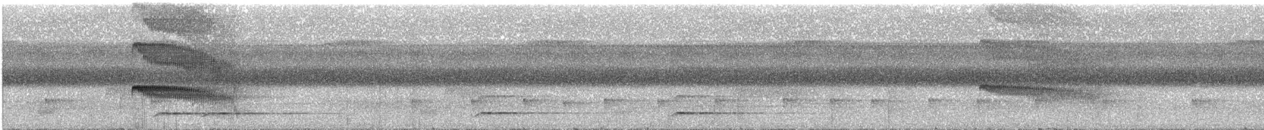 Чернопятнистая гологлазка - ML236618391