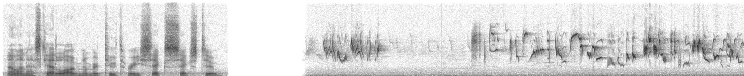 Garden Warbler - ML23662