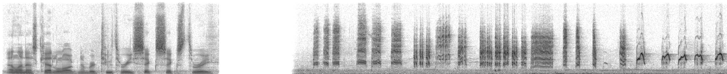 Sedge Warbler - ML23663