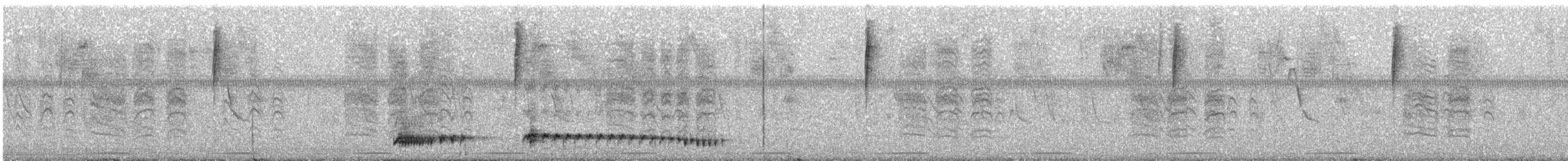 Tinamou à petit bec - ML236637211