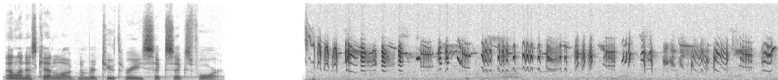 Common Reed Warbler (Common) - ML23664