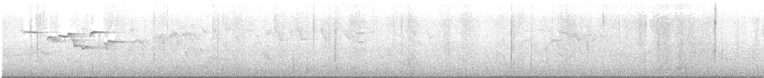 Brown Creeper - ML236643301