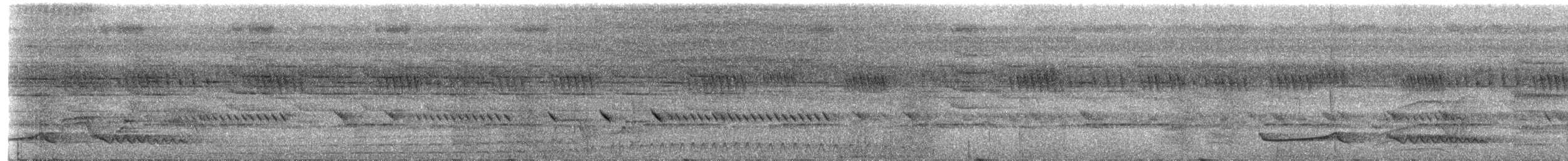 Ötücü Çobanaldatan (nigriscapularis) - ML236654