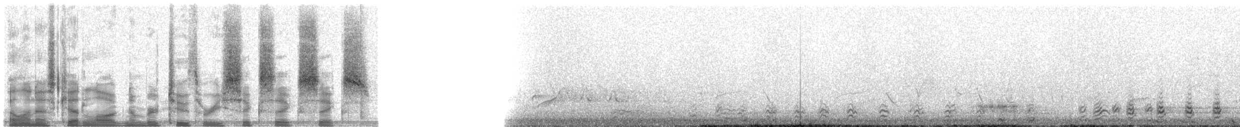 Black Grouse - ML23666