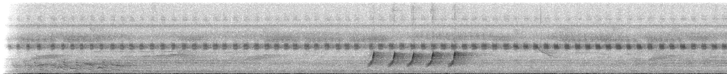 Finschdrossel - ML236660