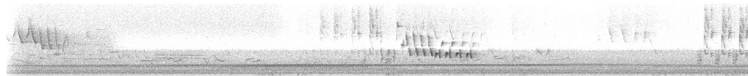 Northern House Wren - ML236668451
