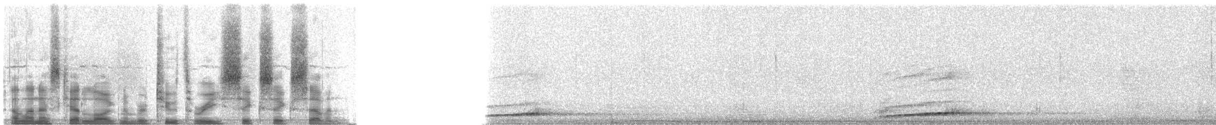 Little Owl (Little) - ML23667