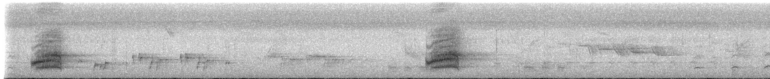 Синегорлый широкорот - ML236671