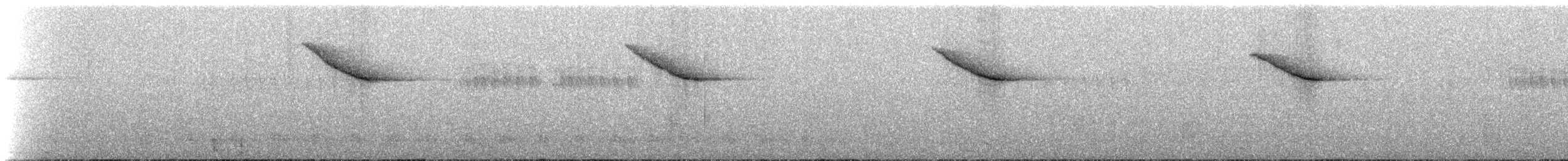 Ak Kuyruklu Karınca Ardıcı - ML236698