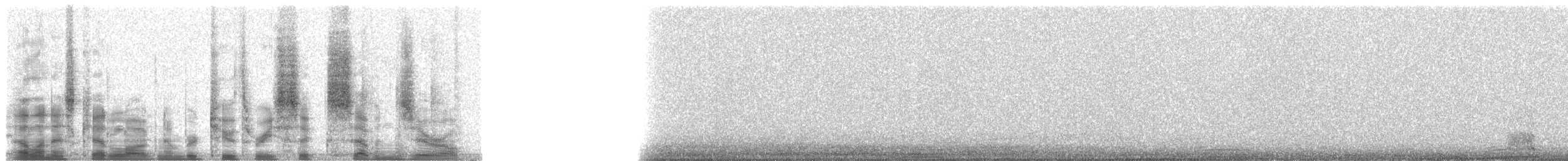 Long-eared Owl (Eurasian) - ML23670