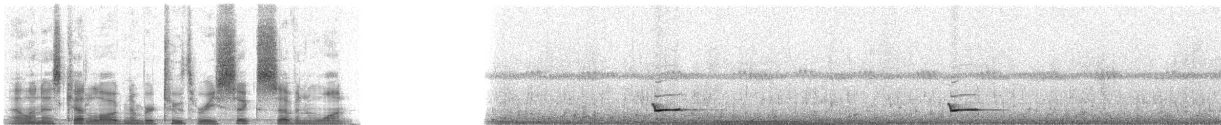 Eurasian Scops-Owl - ML23671