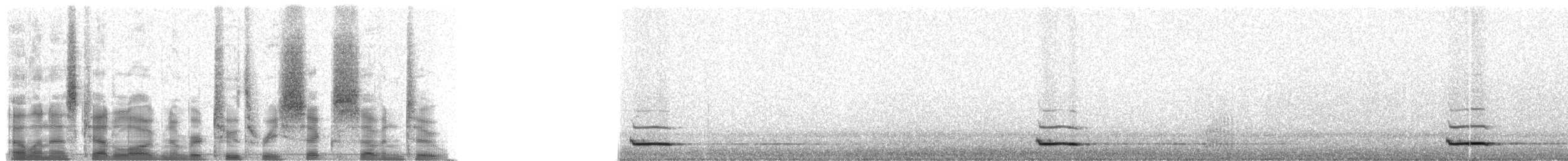 Eurasian Scops-Owl - ML23672