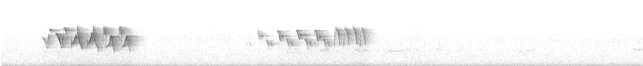 ズアカアメリカムシクイ（ridgwayi） - ML236726821