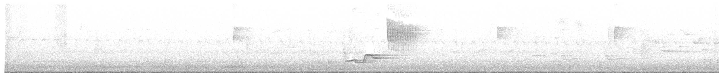Wood Thrush - ML236728871