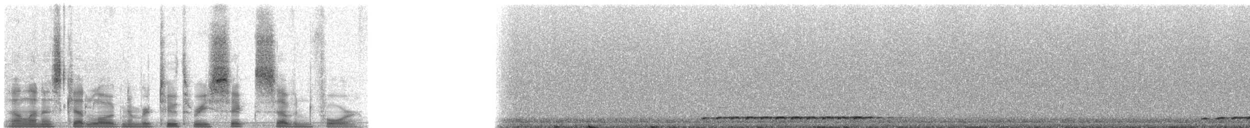 Boreal Owl (Tengmalm's) - ML23674