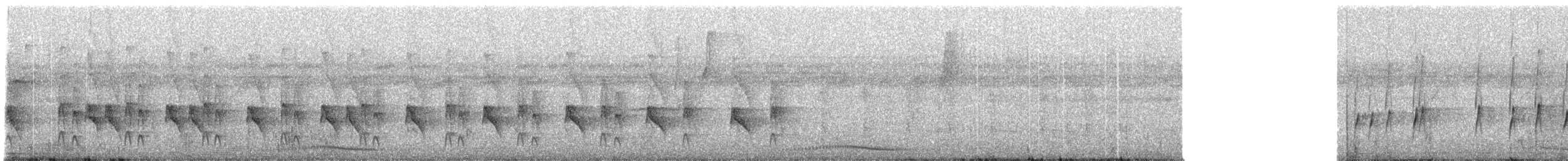 Braunscheitel-Tachurityrann - ML236750