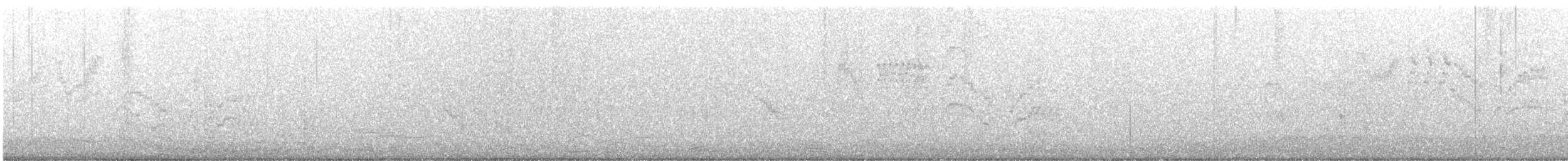 Дрізд-короткодзьоб канадський - ML236754901