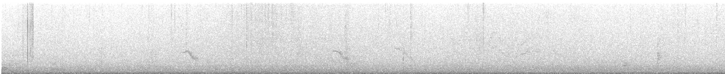 Дрізд-короткодзьоб канадський - ML236754951