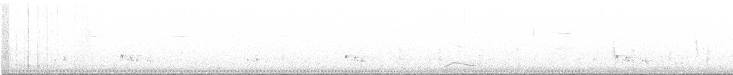 Texasnachtschwalbe - ML236786091