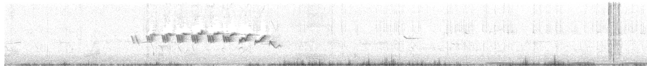 gulstrupeparula (albilora) - ML236789511