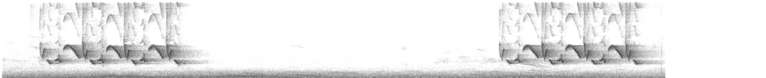 Каролинский крапивник - ML236837001
