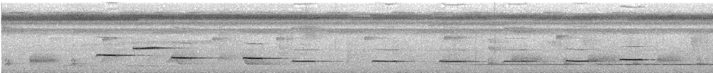 Troglodyte siffleur - ML236842031