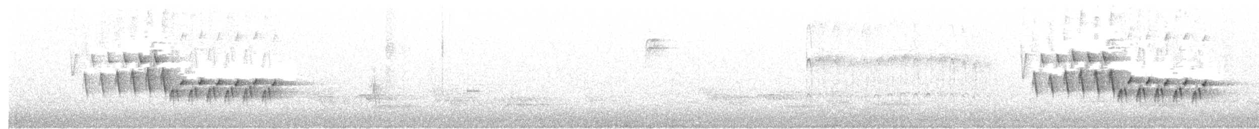 Northern House Wren - ML236883411