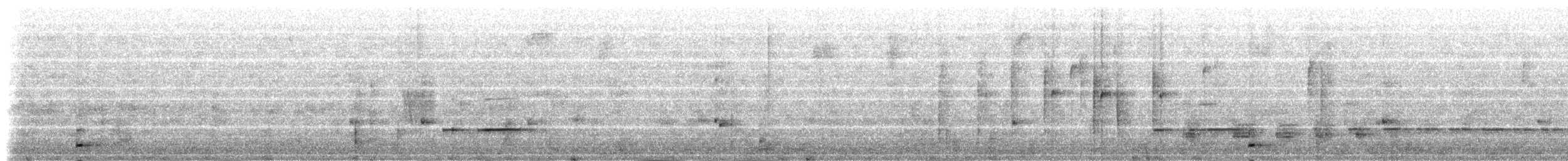 Chami Antpitta - ML236887