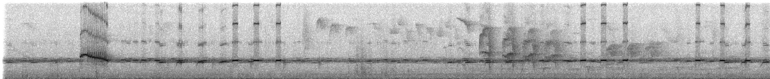 Sierra Nevada Antpitta - ML236889