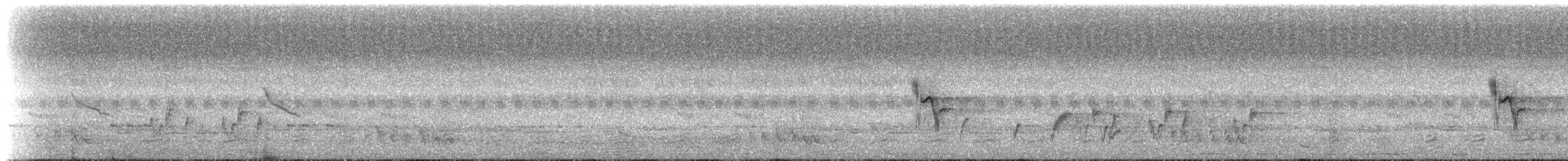 Щеврик-велет - ML236909