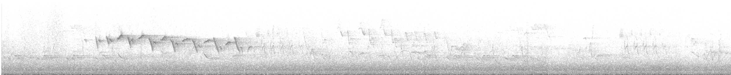 Yellow-throated Warbler - ML236915481