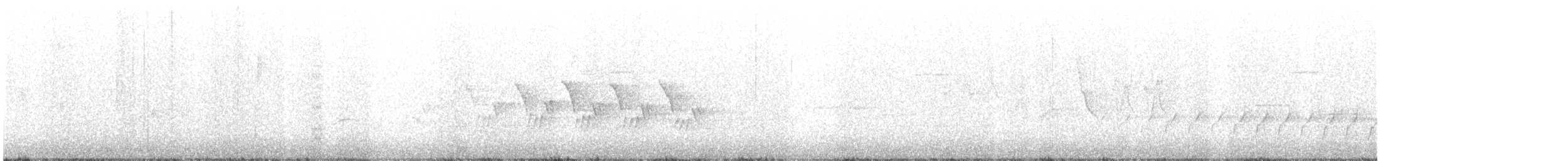 svartbrystparula - ML236919391