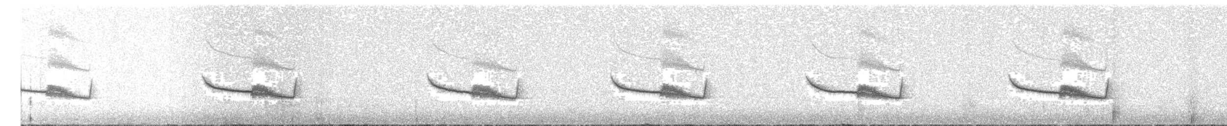 Breitspiegel-Nachtschwalbe - ML236921881