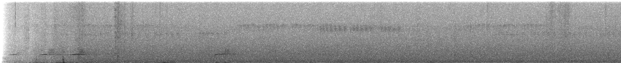 svartkinnhjelmvarsler (caniceps) - ML236923